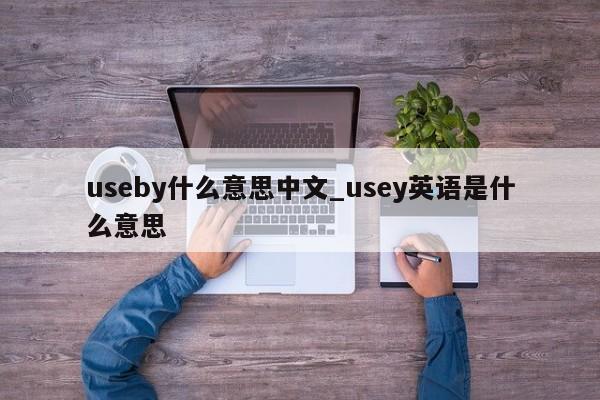 useby什么意思中文_usey英语是什么意思-第1张图片-巴山号