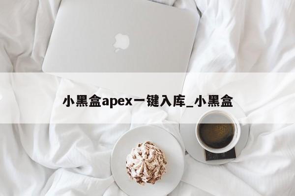 小黑盒apex一键入库_小黑盒-第1张图片-巴山号