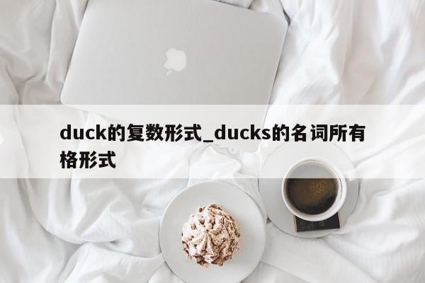 duck的复数形式_ducks的名词所有格形式-第1张图片-巴山号