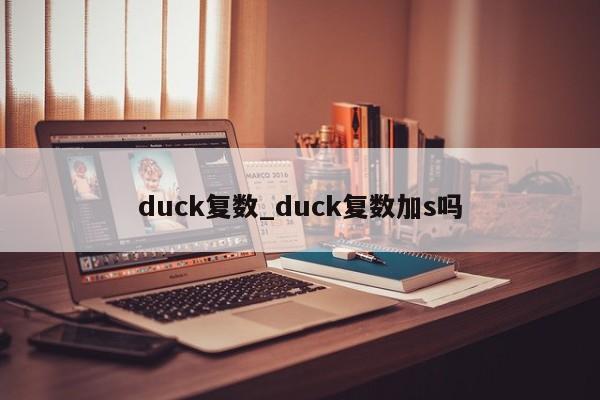 duck复数_duck复数加s吗-第1张图片-巴山号