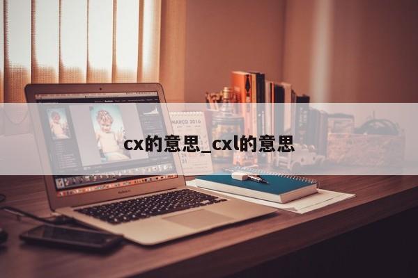 cx的意思_cxl的意思-第1张图片-巴山号