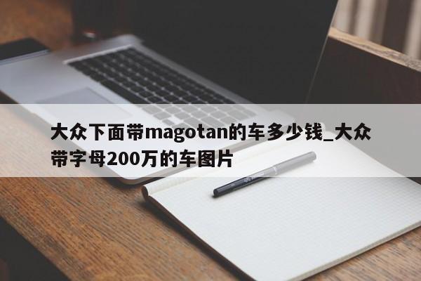 大众下面带magotan的车多少钱_大众带字母200万的车图片-第1张图片-巴山号