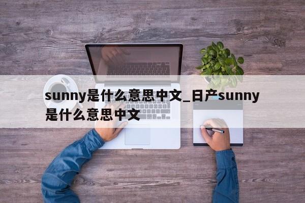 sunny是什么意思中文_日产sunny是什么意思中文-第1张图片-巴山号