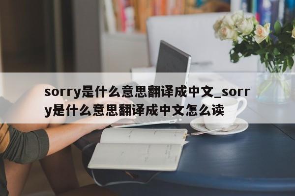 sorry是什么意思翻译成中文_sorry是什么意思翻译成中文怎么读-第1张图片-巴山号