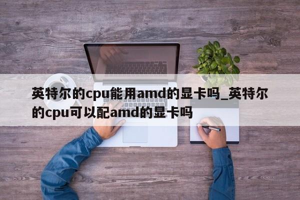 英特尔的cpu能用amd的显卡吗_英特尔的cpu可以配amd的显卡吗-第1张图片-巴山号