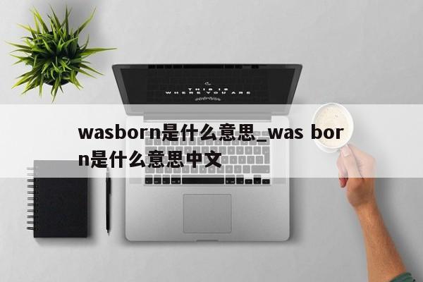 wasborn是什么意思_was born是什么意思中文-第1张图片-巴山号