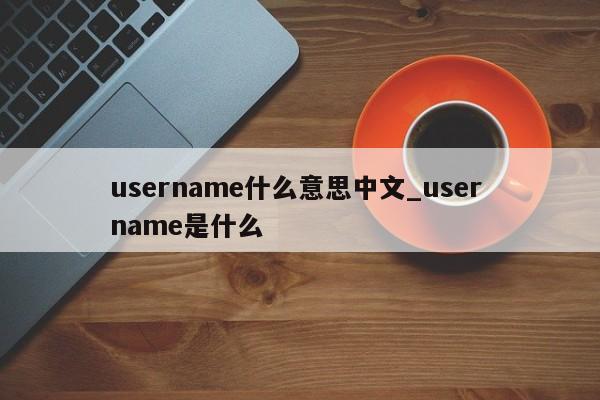 username什么意思中文_user name是什么-第1张图片-巴山号