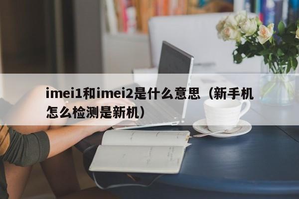 imei1和imei2是什么意思（新手机怎么检测是新机）-第1张图片-巴山号