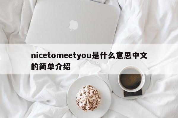 nicetomeetyou是什么意思中文的简单介绍-第1张图片-巴山号