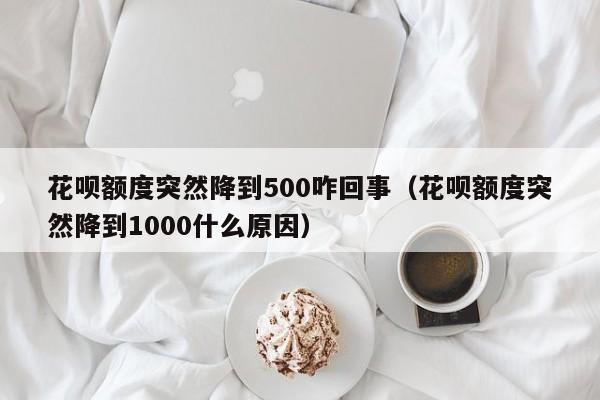 花呗额度突然降到500咋回事（花呗额度突然降到1000什么原因）-第1张图片-巴山号