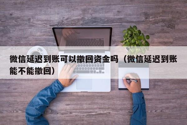 微信延迟到账可以撤回资金吗（微信延迟到账能不能撤回）-第1张图片-巴山号