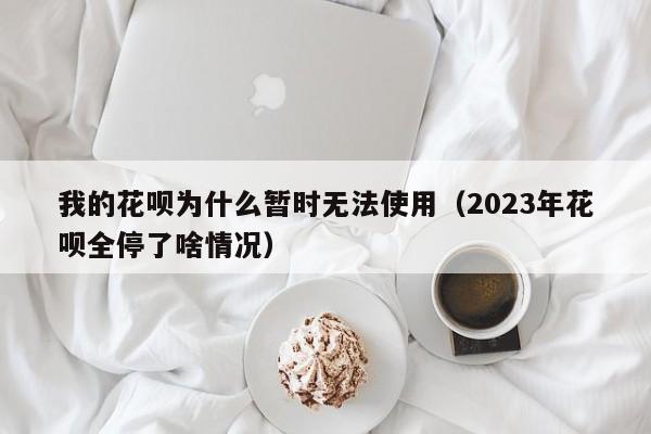 我的花呗为什么暂时无法使用（2023年花呗全停了啥情况）-第1张图片-巴山号