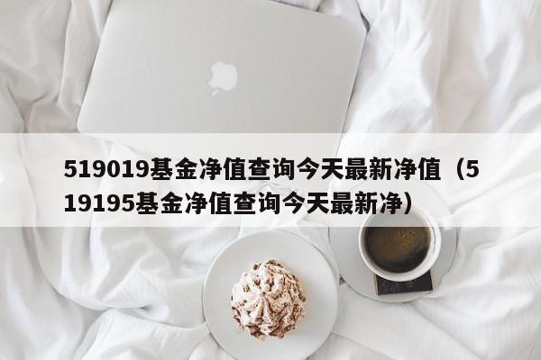 519019基金净值查询今天最新净值（519195基金净值查询今天最新净）-第1张图片-巴山号