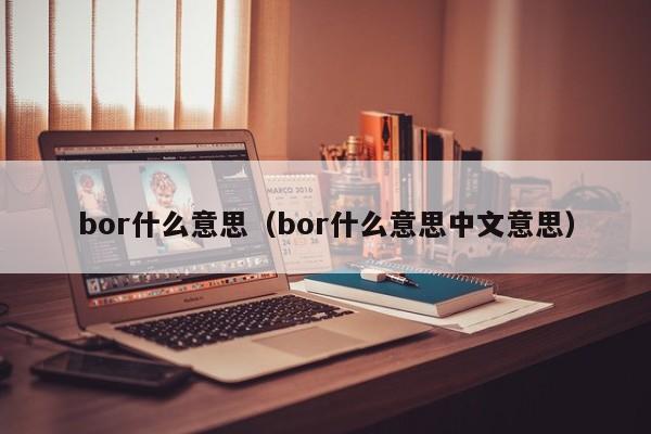 bor什么意思（bor什么意思中文意思）-第1张图片-巴山号