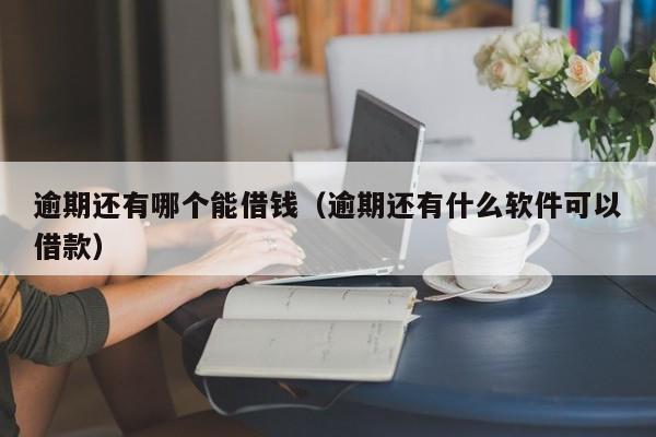 逾期还有哪个能借钱（逾期还有什么软件可以借款）-第1张图片-巴山号