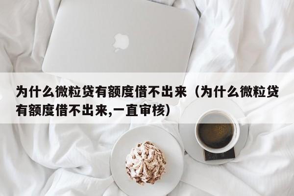 为什么微粒贷有额度借不出来（为什么微粒贷有额度借不出来,一直审核）-第1张图片-巴山号