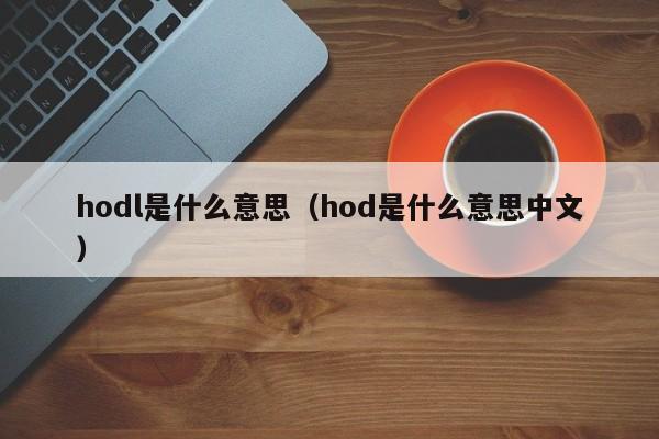 hodl是什么意思（hod是什么意思中文）-第1张图片-巴山号