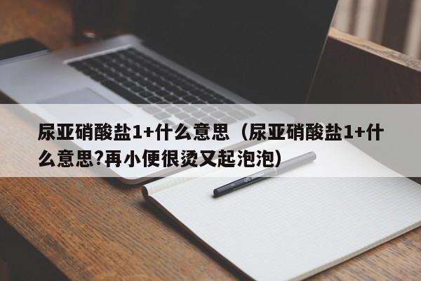 尿亚硝酸盐1+什么意思（尿亚硝酸盐1+什么意思?再小便很烫又起泡泡）-第1张图片-巴山号