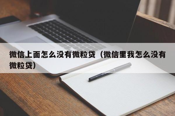 微信上面怎么没有微粒贷（微信里我怎么没有微粒贷）-第1张图片-巴山号