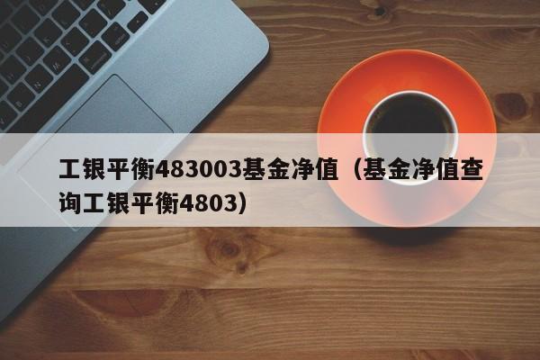 工银平衡483003基金净值（基金净值查询工银平衡4803）-第1张图片-巴山号