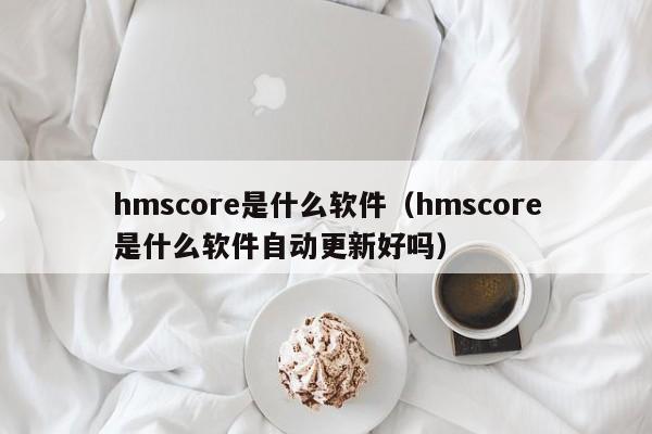 hmscore是什么软件（hmscore是什么软件自动更新好吗）-第1张图片-巴山号