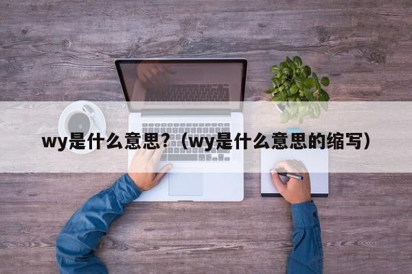 wy是什么意思?（wy是什么意思的缩写）-第1张图片-巴山号