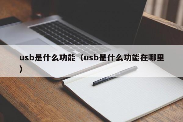 usb是什么功能（usb是什么功能在哪里）-第1张图片-巴山号