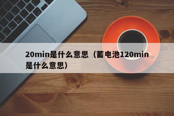 20min是什么意思（蓄电池120min是什么意思）-第1张图片-巴山号