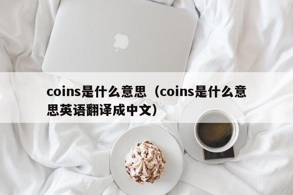 coins是什么意思（coins是什么意思英语翻译成中文）-第1张图片-巴山号