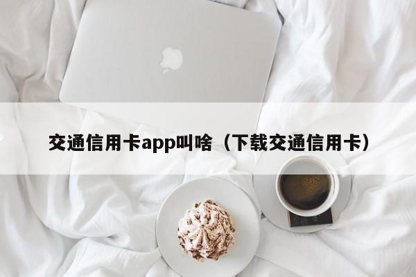 交通信用卡app叫啥（下载交通信用卡）-第1张图片-巴山号