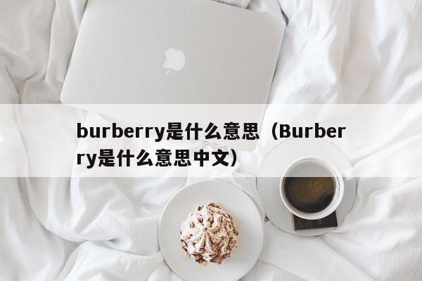 burberry是什么意思（Burberry是什么意思中文）-第1张图片-巴山号