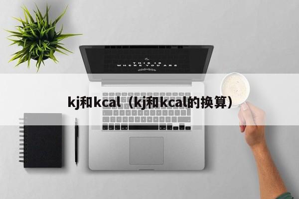 kj和kcal（kj和kcal的换算）-第1张图片-巴山号