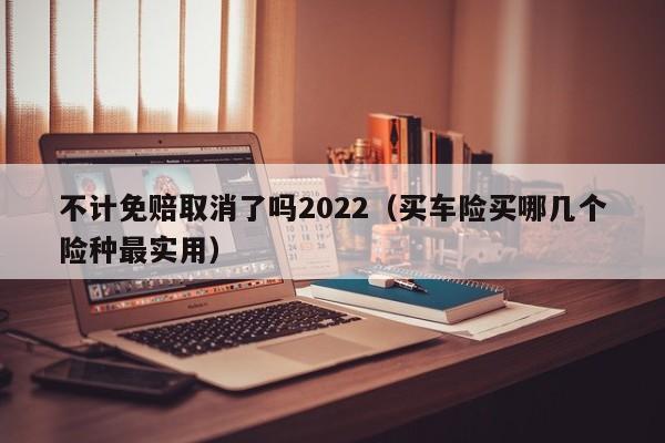 不计免赔取消了吗2022（买车险买哪几个险种最实用）-第1张图片-巴山号