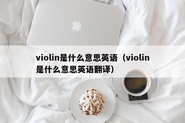 violin是什么意思英语（violin是什么意思英语翻译）-第1张图片-巴山号