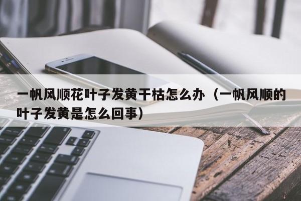 一帆风顺花叶子发黄干枯怎么办（一帆风顺的叶子发黄是怎么回事）-第1张图片-巴山号