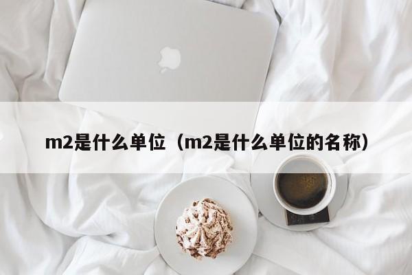 m2是什么单位（m2是什么单位的名称）-第1张图片-巴山号