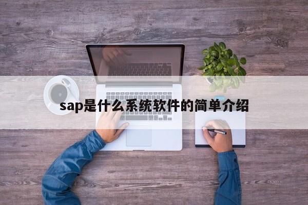 sap是什么系统软件的简单介绍-第1张图片-巴山号