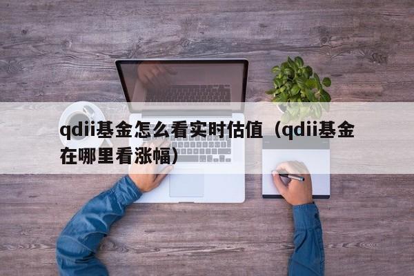 qdii基金怎么看实时估值（qdii基金在哪里看涨幅）-第1张图片-巴山号