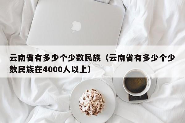 云南省有多少个少数民族（云南省有多少个少数民族在4000人以上）-第1张图片-巴山号