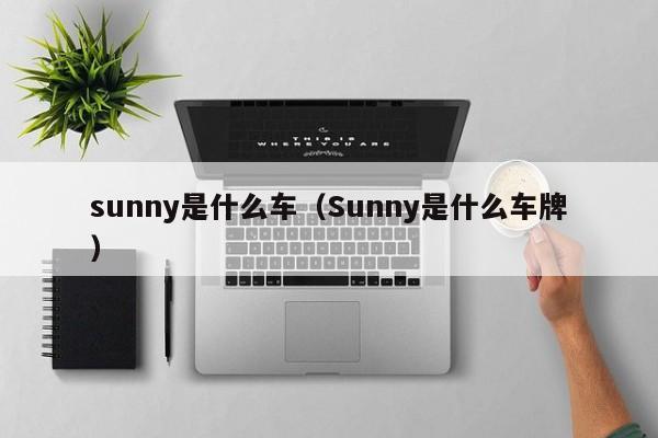 sunny是什么车（Sunny是什么车牌）-第1张图片-巴山号