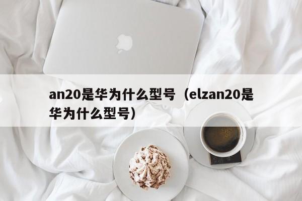 an20是华为什么型号（elzan20是华为什么型号）-第1张图片-巴山号