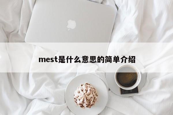 mest是什么意思的简单介绍-第1张图片-巴山号