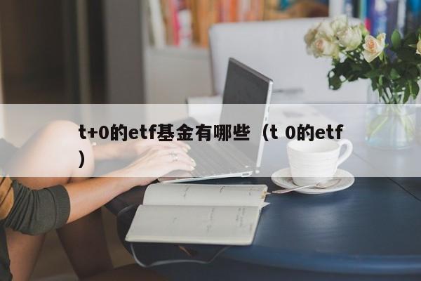 t+0的etf基金有哪些（t 0的etf）-第1张图片-巴山号