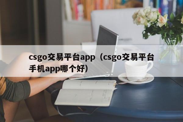 csgo交易平台app（csgo交易平台手机app哪个好）-第1张图片-巴山号