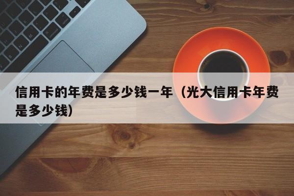 信用卡的年费是多少钱一年（光大信用卡年费是多少钱）-第1张图片-巴山号